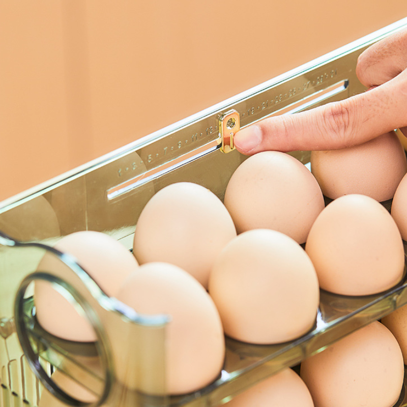 Space-Saving Flippable Egg Holder