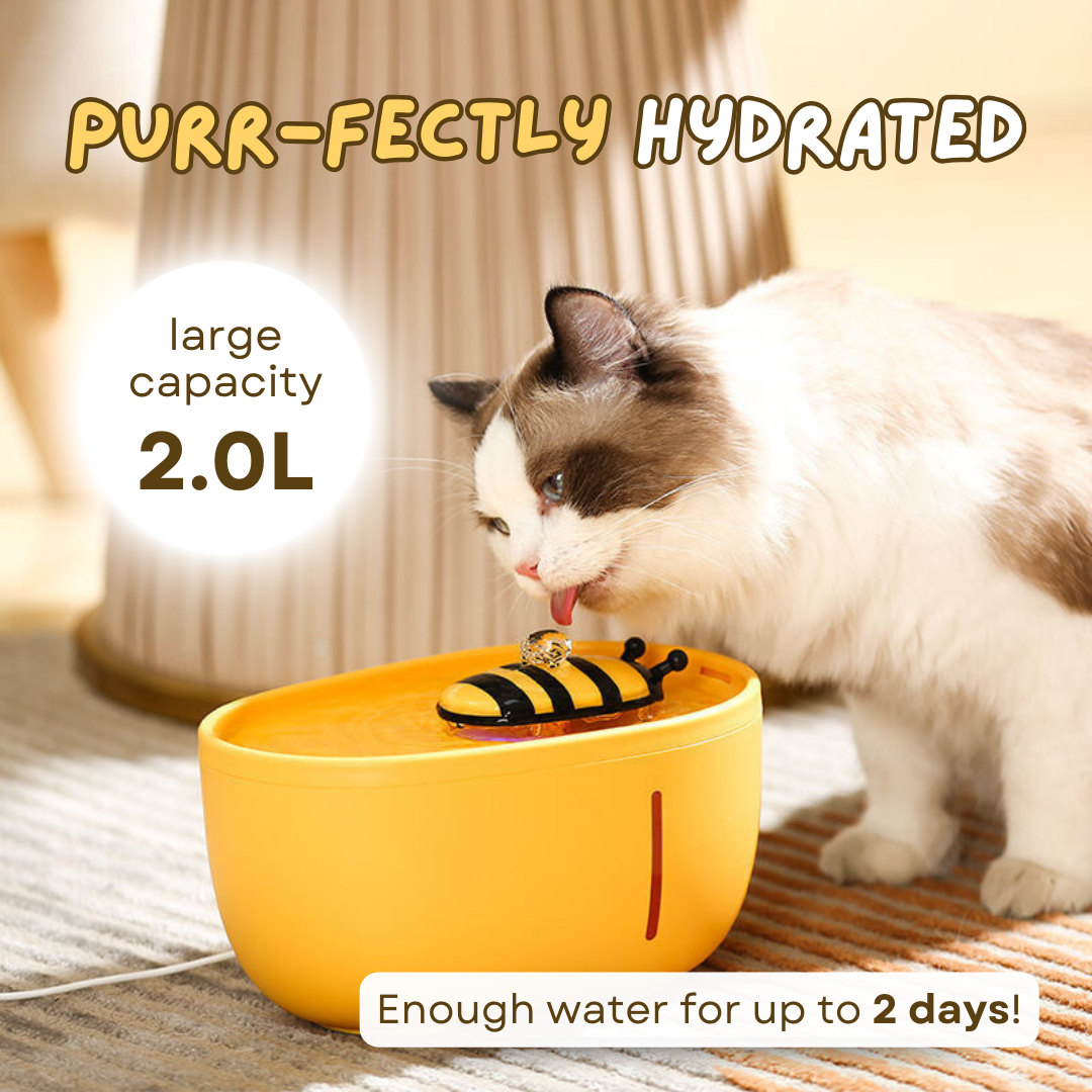 Bee Cat Water Fountain with 4 Free Filters